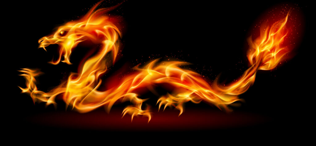 An image of a dragon on fire in a book shop in Stockton-on-Tees